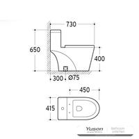 YS24284 Ett keramisk toalett, sifonisk;